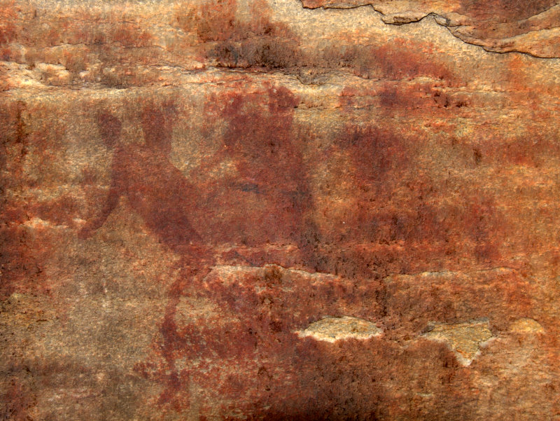 Whitchers Cave paintings in main cave DSC 6790