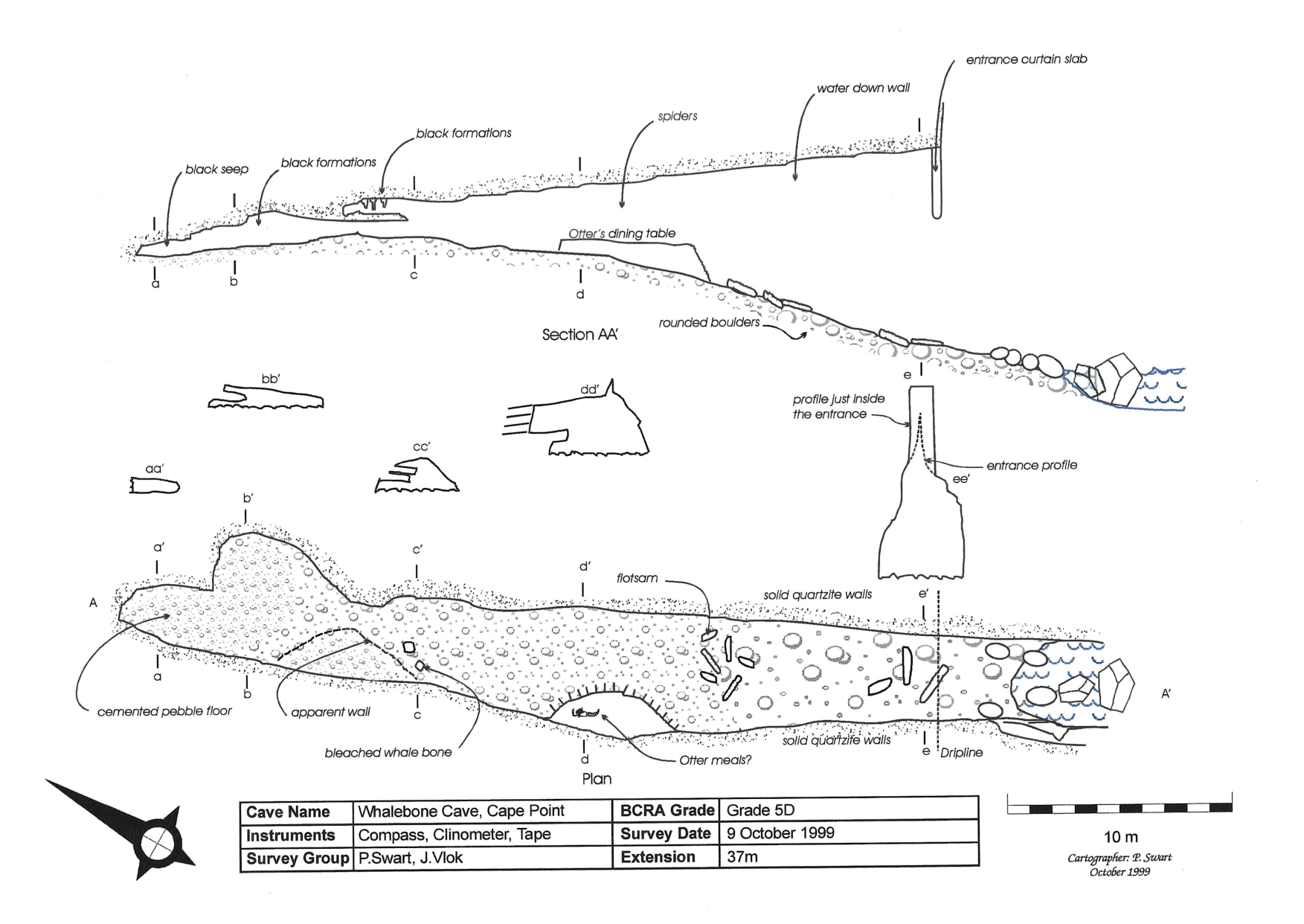 Survey — Whale Bone Cave