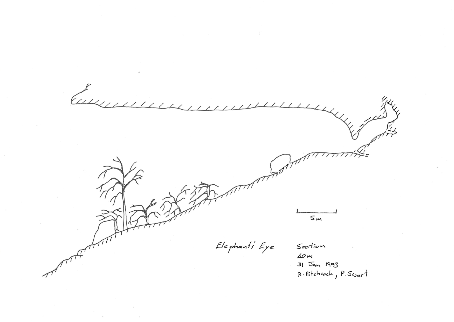 Survey — Elephants Eye Cave