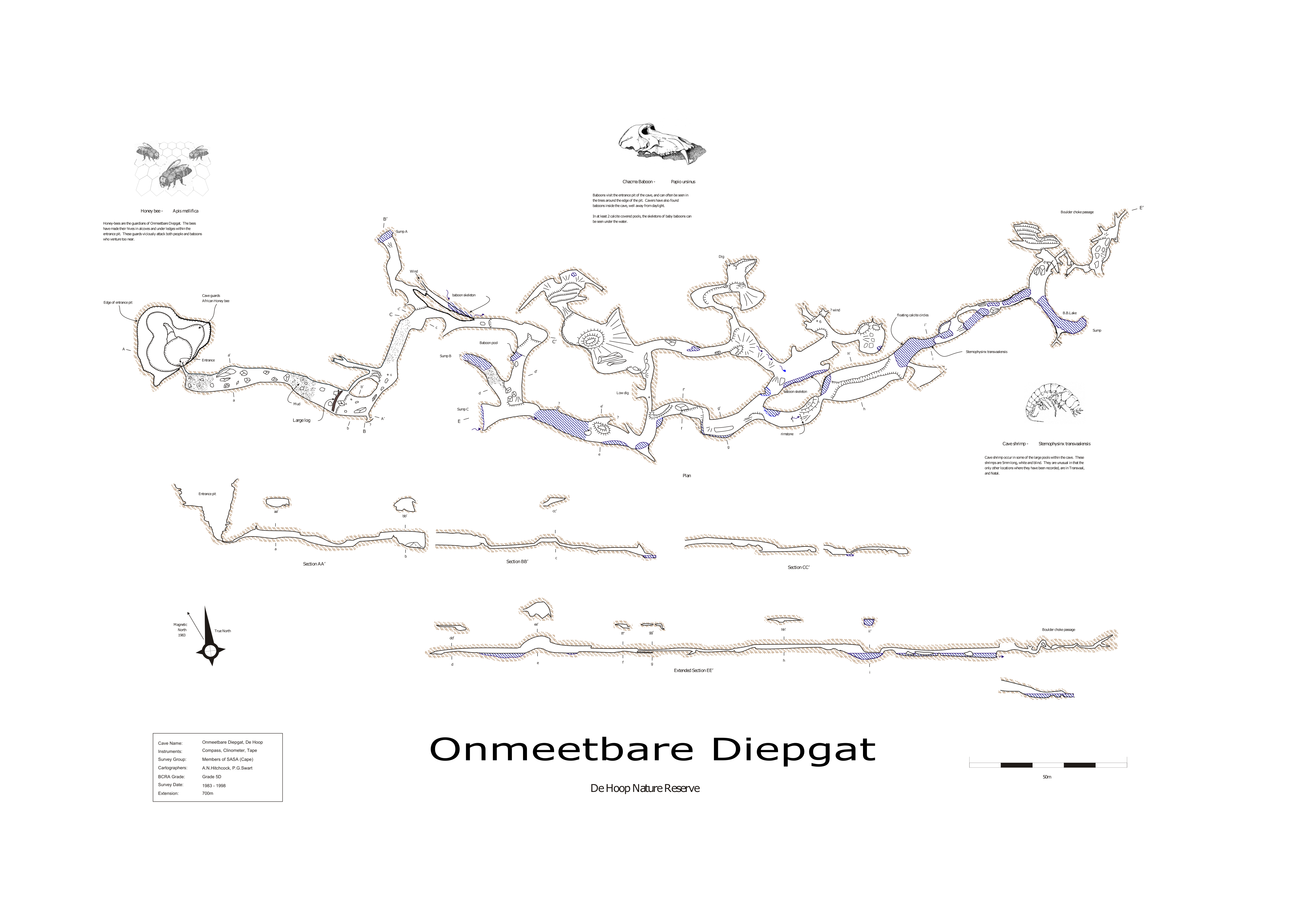 Survey — Onmeetbare Diepgat Cave
