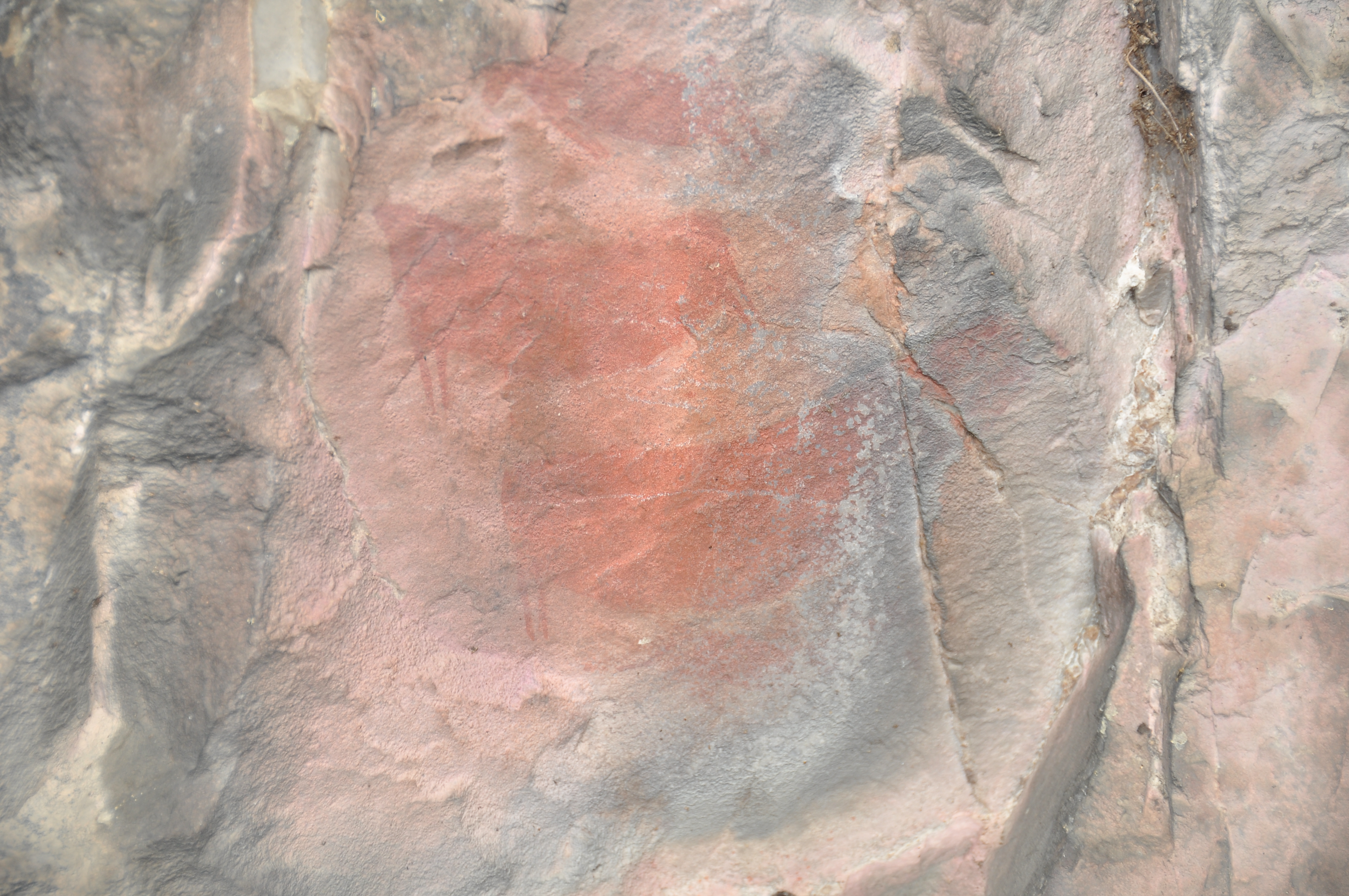 Faded painting of three Eland at the entrance of the cave