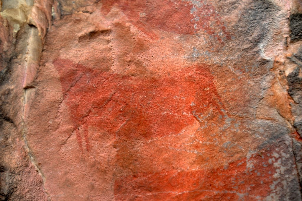 Contrast enhanced image of the central Eland