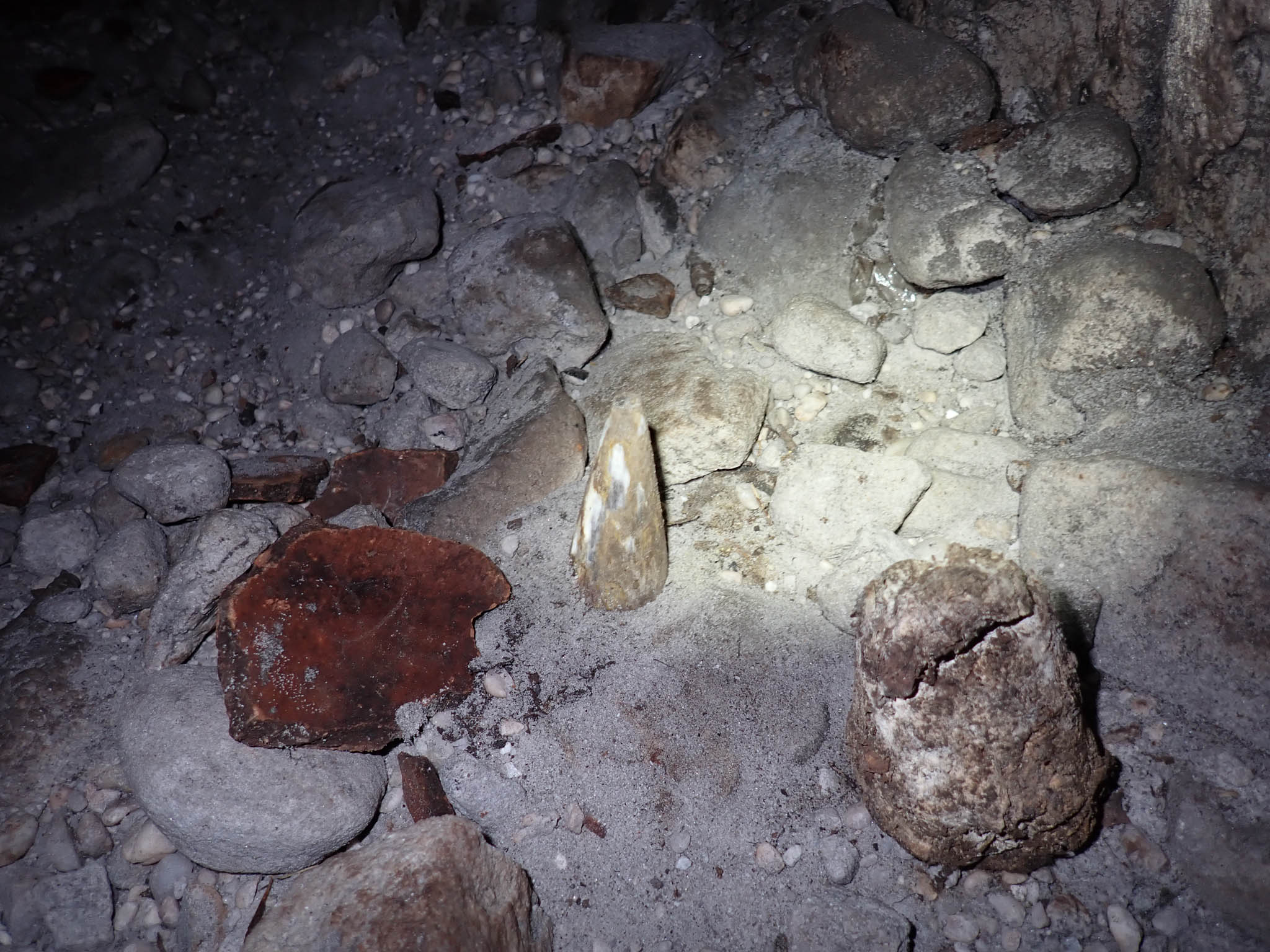 Broken pot shards a horn tip and a cone[Photo][20260328]
