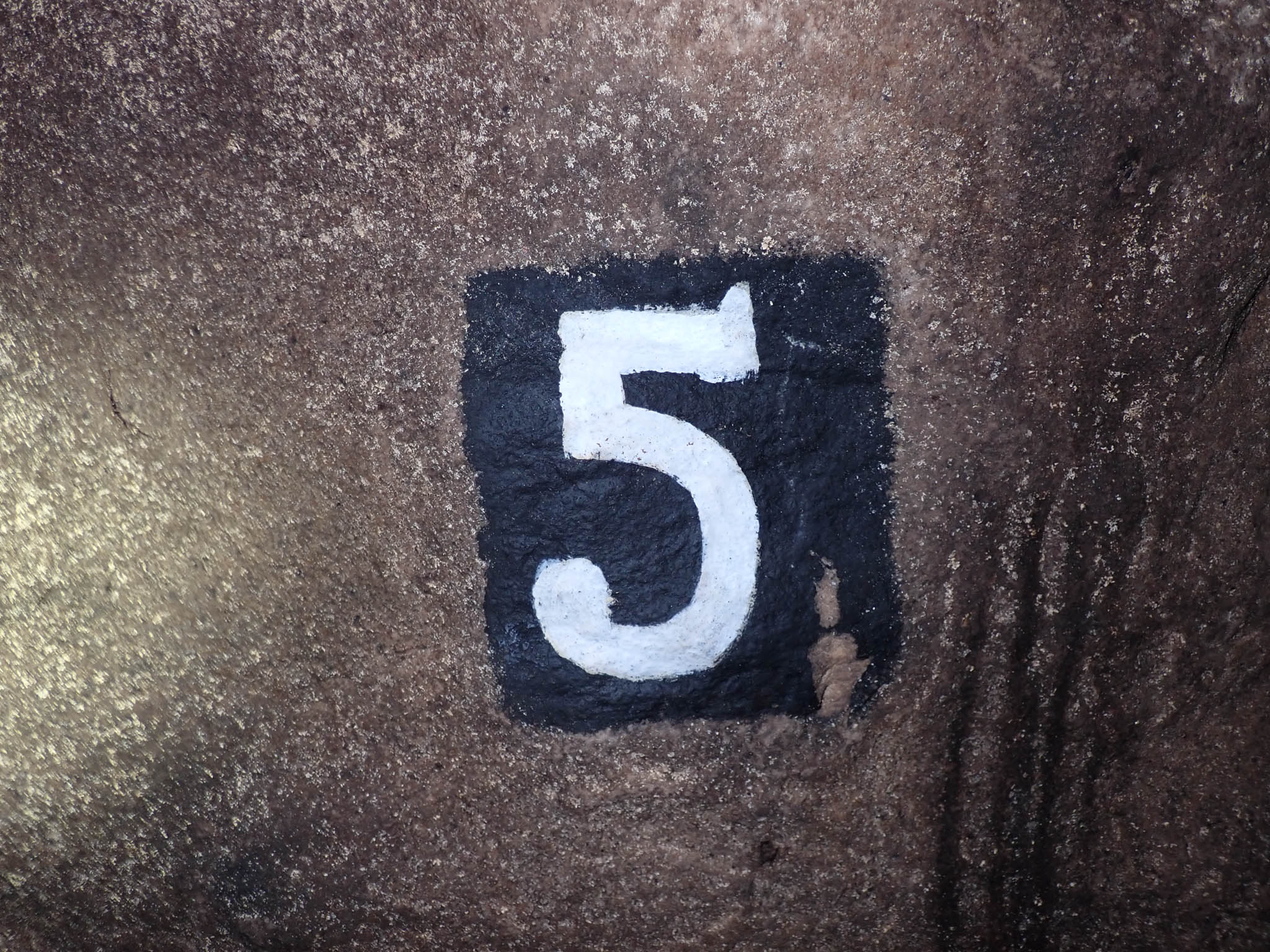 Chamber 5[Photo][20260328]