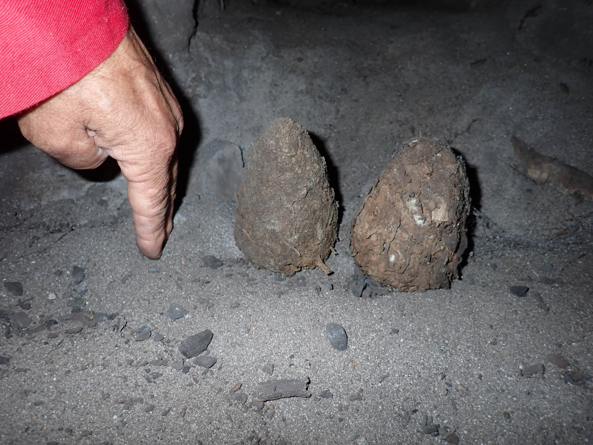 Cones left by worshippers hand for scale[Photo][20260328]