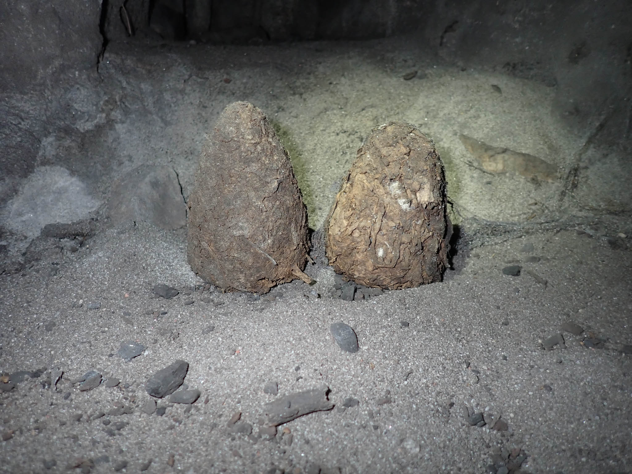 Cones left by worshippers[Photo][20260328]