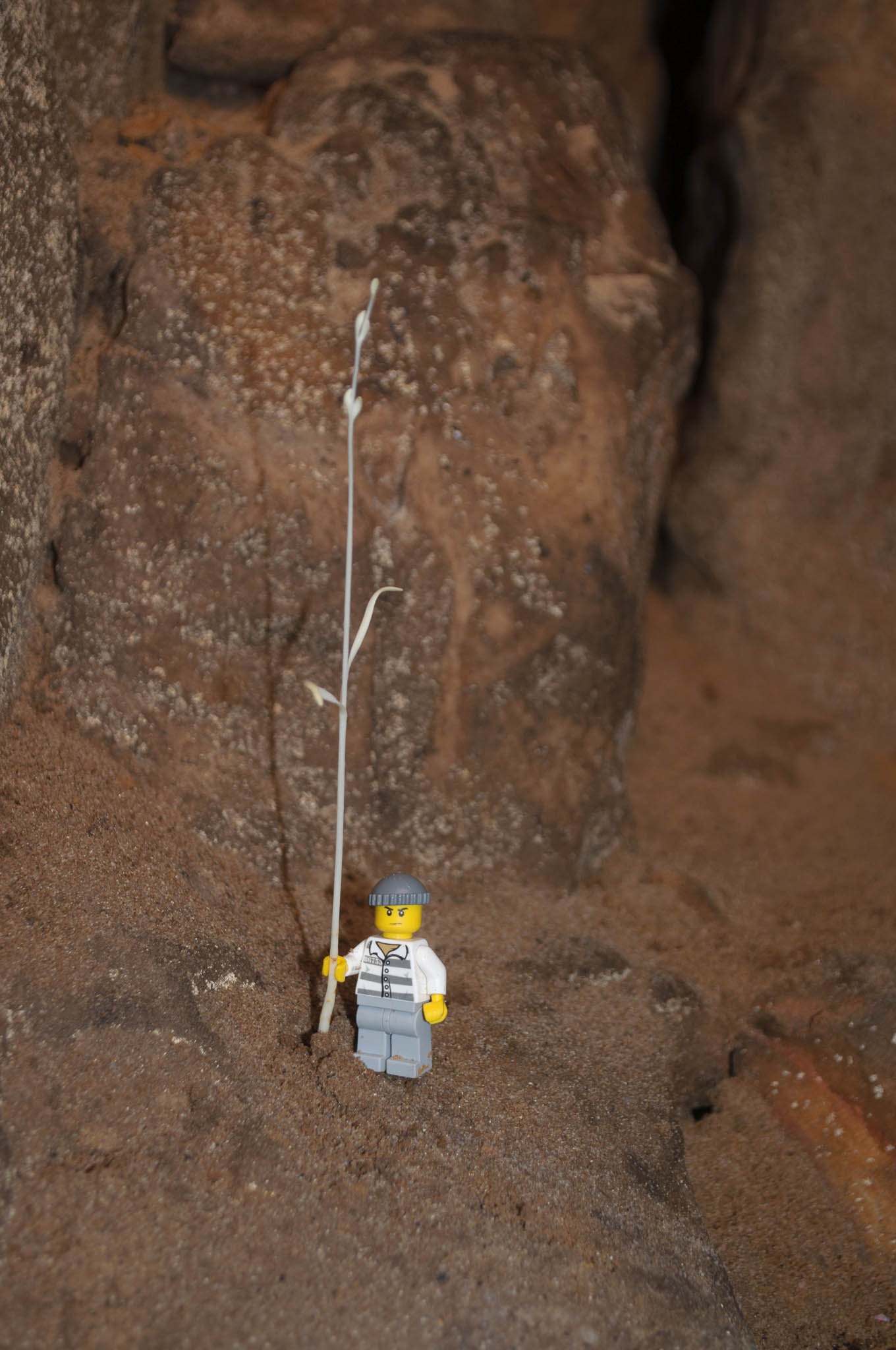 Labyrinth Cave Legoman staff[Photo][20160711][PSwart]