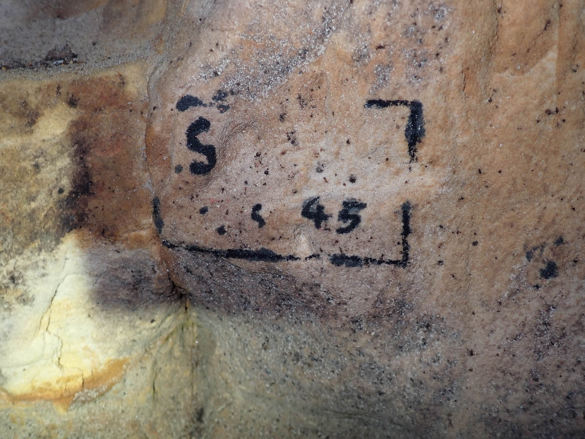 Visitors Book   not sure[Photo][20260328]