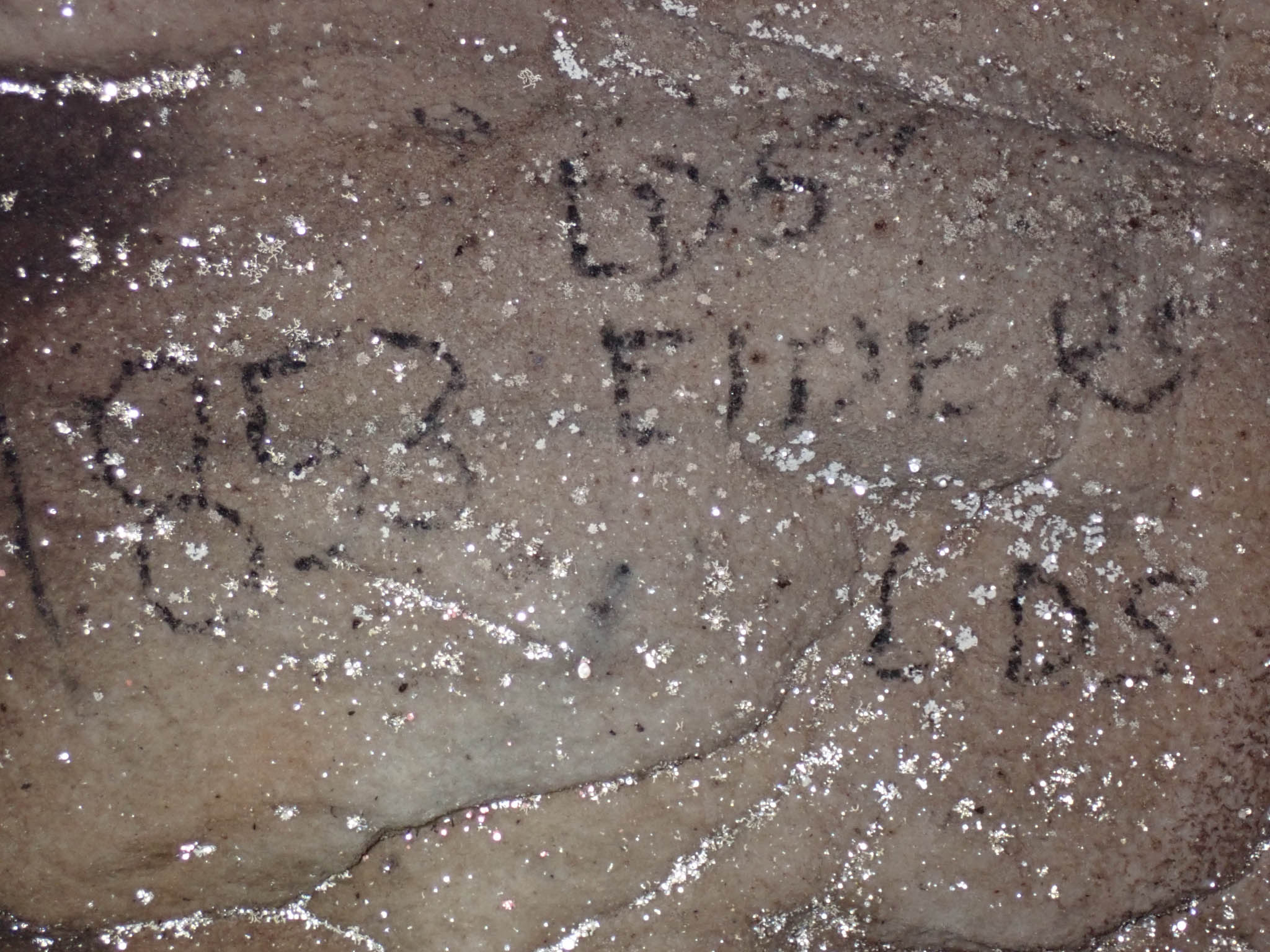 Visitors Book Possibly 1853[Photo][20260328]