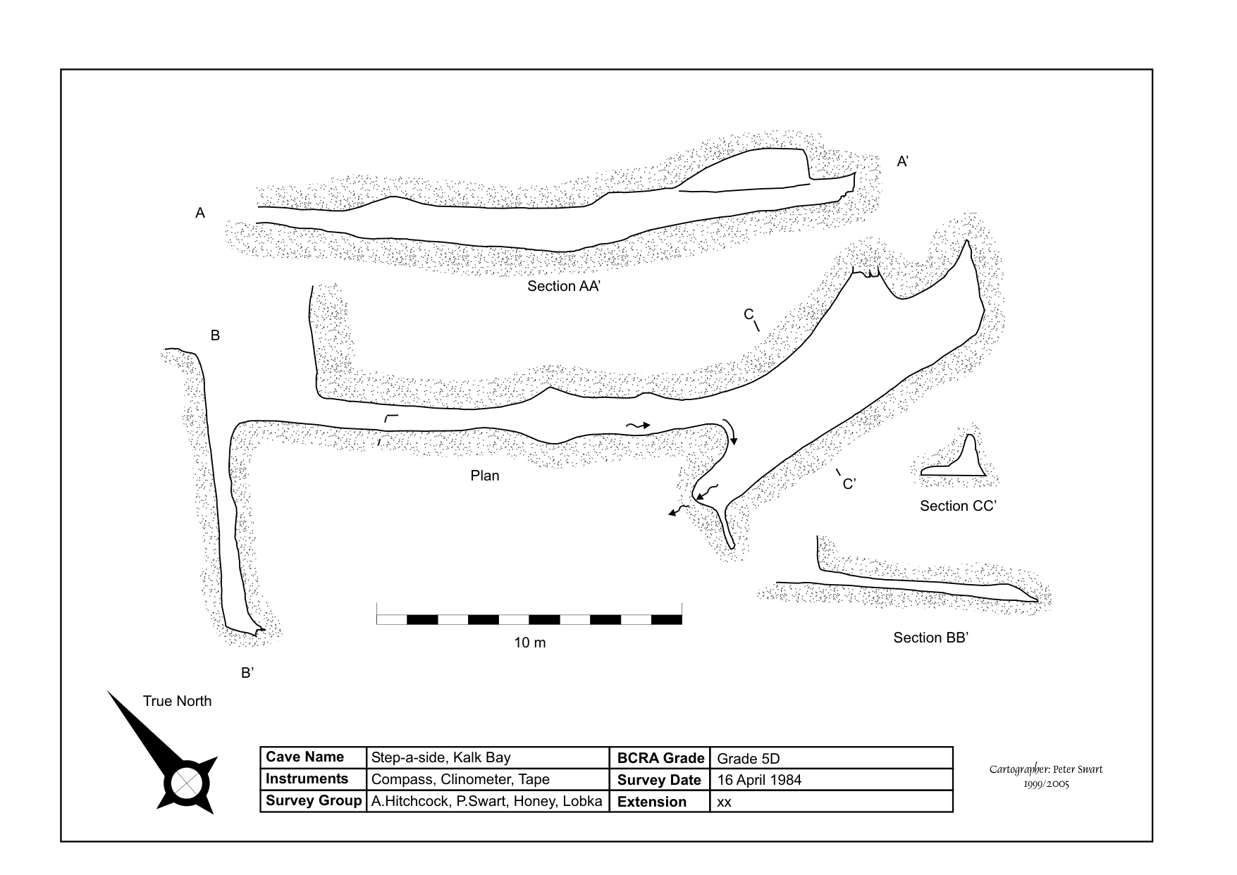 Survey — Incomplete