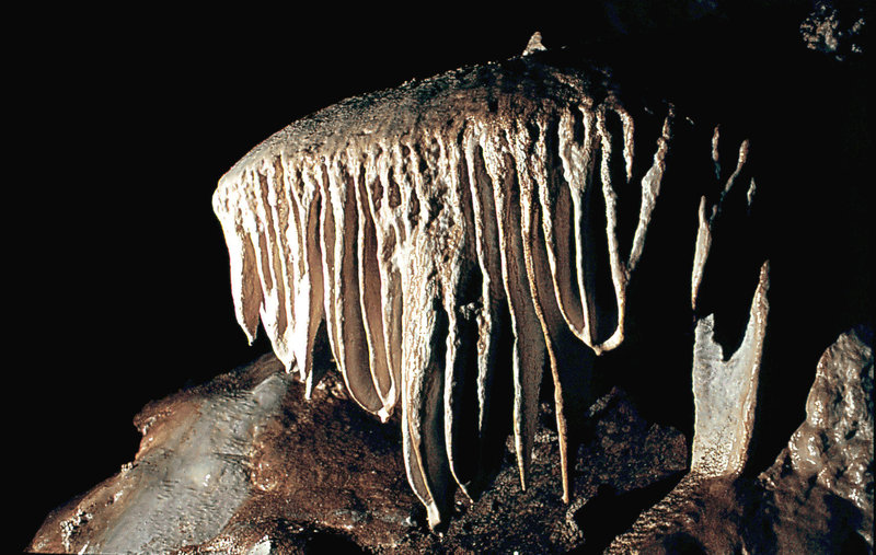 Abrie Bothas Wedding Cake