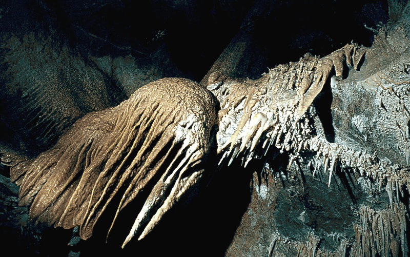 Arbrie Botha cave (I think)