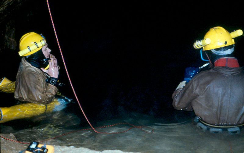 Wayne Clausen diving