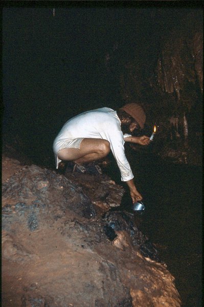 Apple   Efflux Camp Wee Willie Winkie (2)