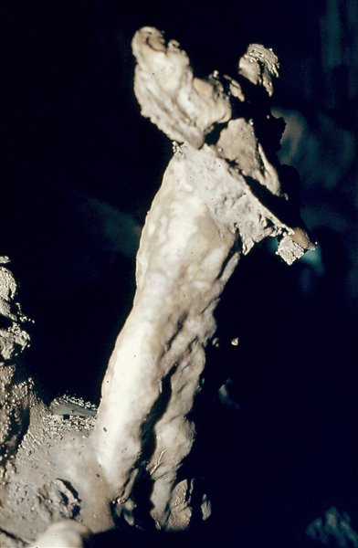 The Scottish Piper Efflux Oudtshoorn