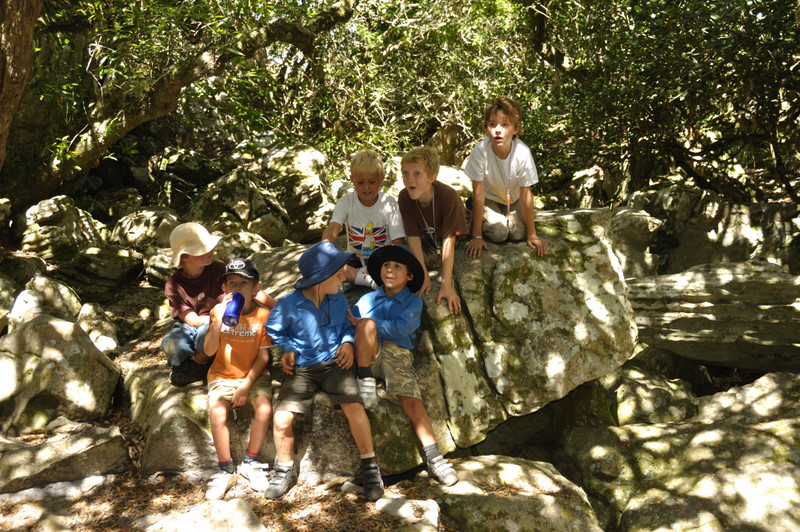 Amazon Forest Echo Valley DSC 7247