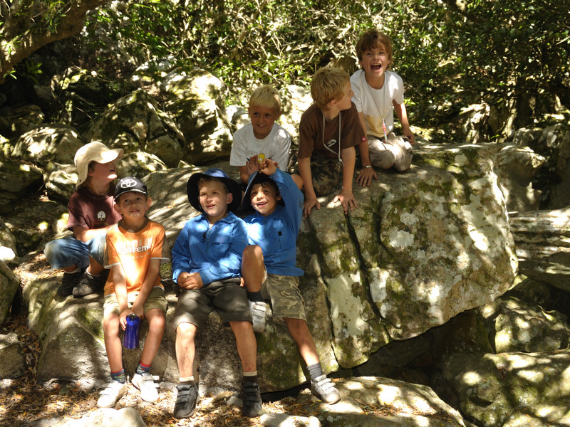 Amazon Forest Echo Valley DSC 7251