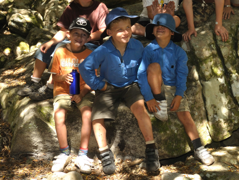 Amazon Forest Echo Valley DSC 7254