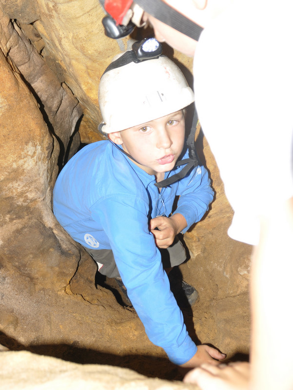 Oread Halls Grand Hall Euan found a cave cricket DSC 7071