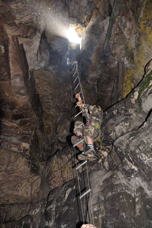 Oread Halls Skylight chamber ladder Bevan DSC 7173