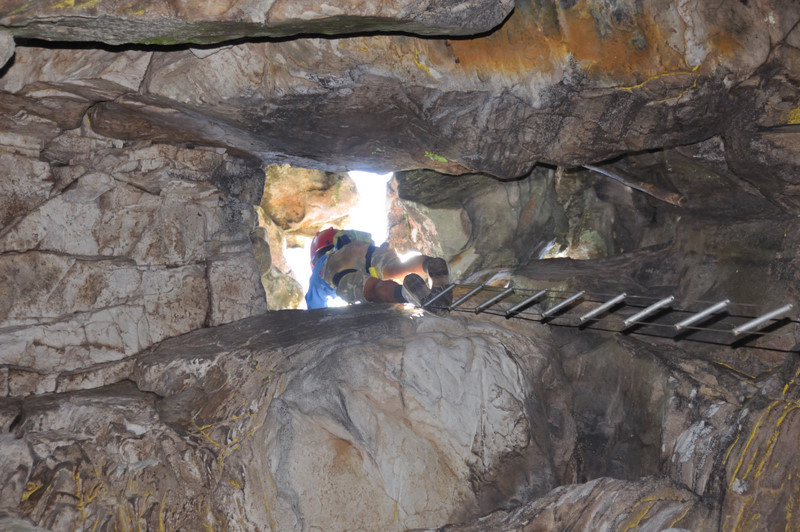 Oread Halls Skylight chamber ladder DSC 7125