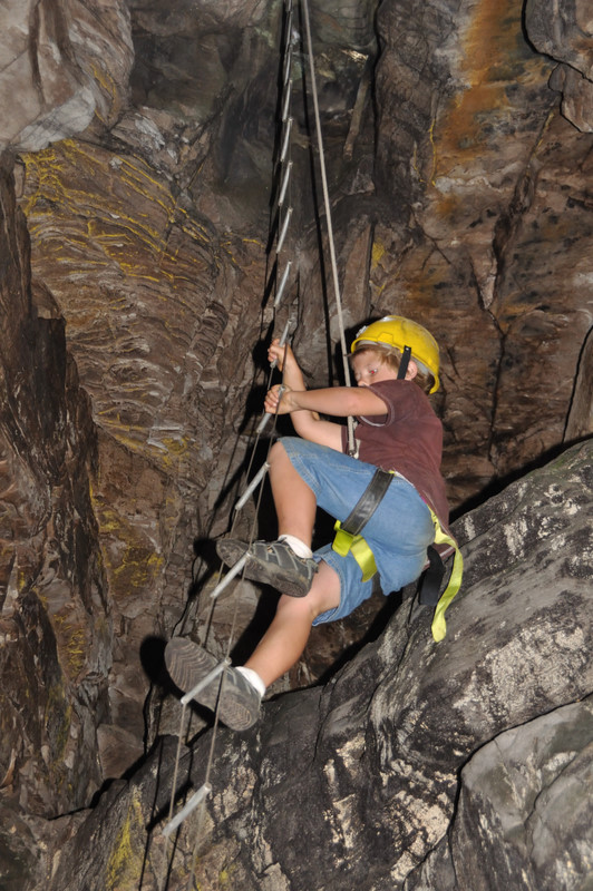 Oread Halls Skylight chamber ladder Lloyd DSC 7144