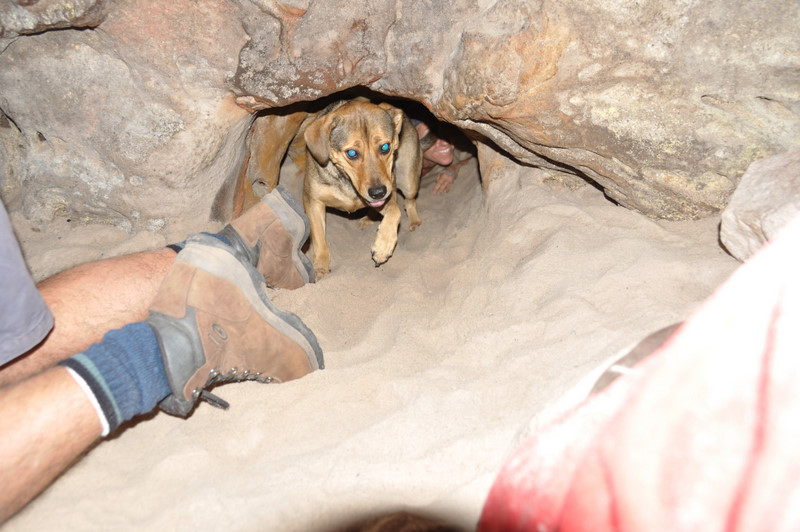 Oread Halls TOmmy DSC 6980