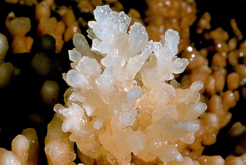 crystals Cango 3 August 1978