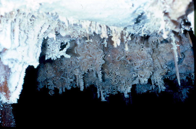 helictites Cango 3 September 1978 1