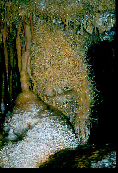 helictites in Alpine Room Cango 3 August 1978