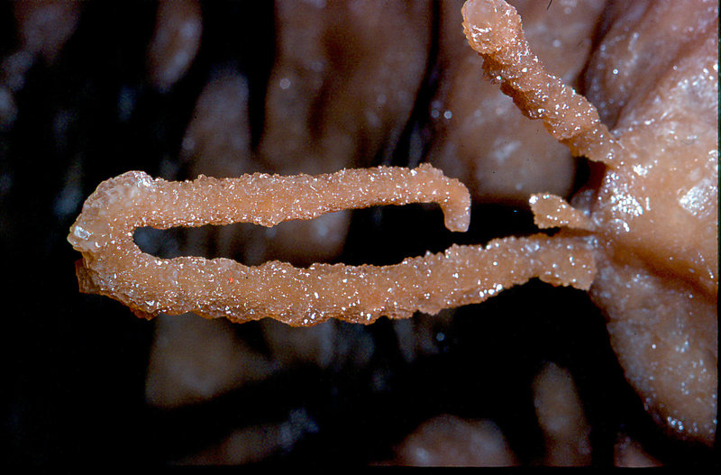 straw Cango 3 September 1978