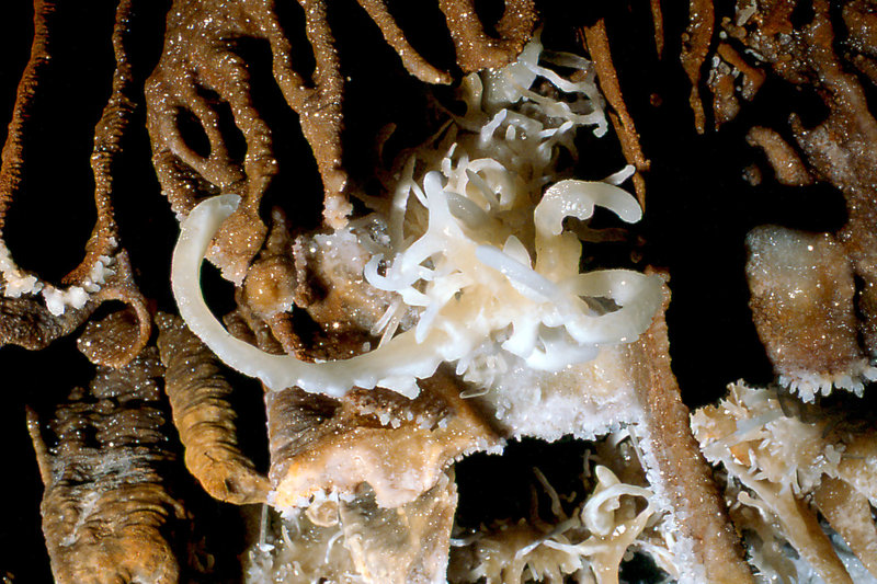 Cango 3 Easterscan0007