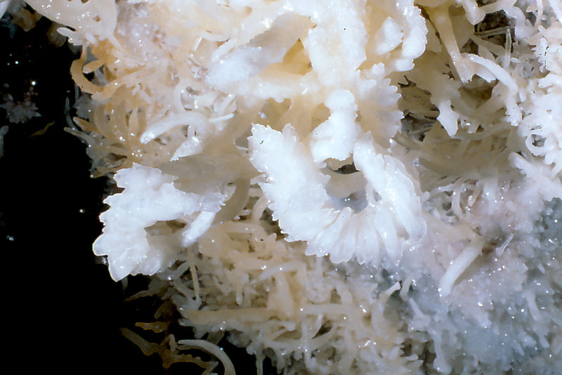 Cango 3 Easterscan0009