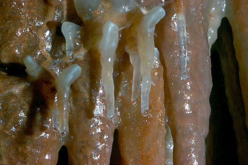 Cango 3 Easterscan0011