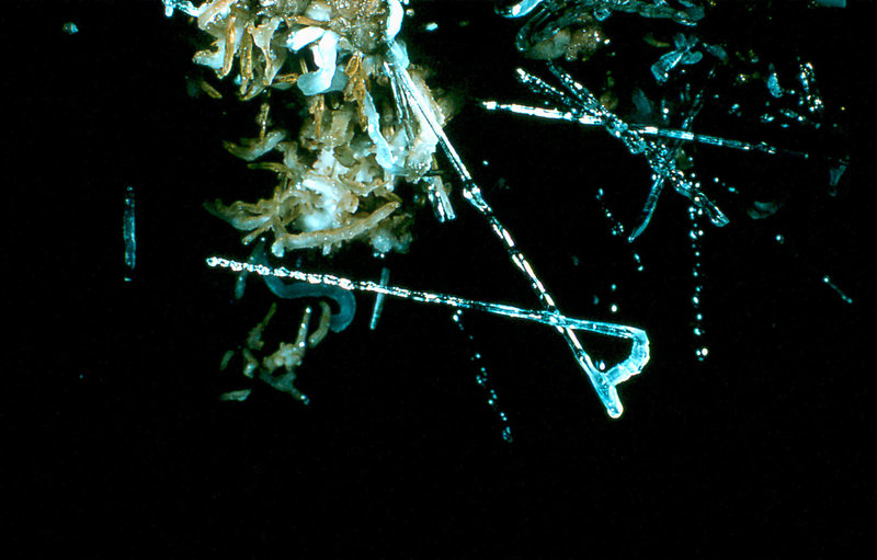 Cango 3 Easterscan0019