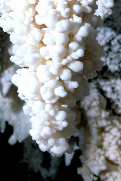 Cango 3 Easterscan0026