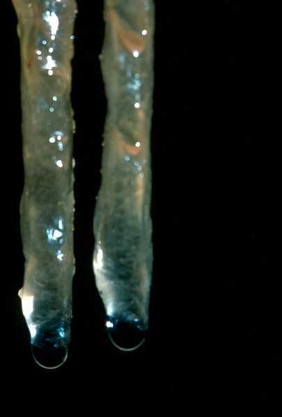 Aladdin's overhang Cango 3 Easter 1980