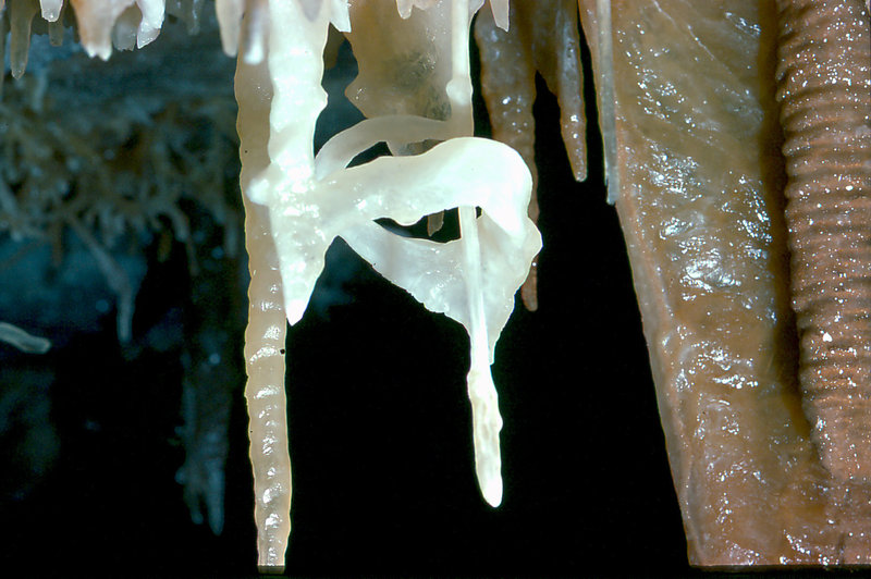 Aladdin's overhang Cango 3 Easter 1980 7