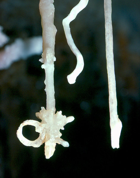 Aladdin's overhang Cango 3 Easter 1980 8