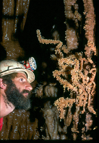 Apple Green between Amphitheatre and Canyon Cango 3 Easter 1