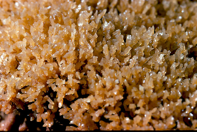 Cango 3 crystal flower field under Adaddins Overhang