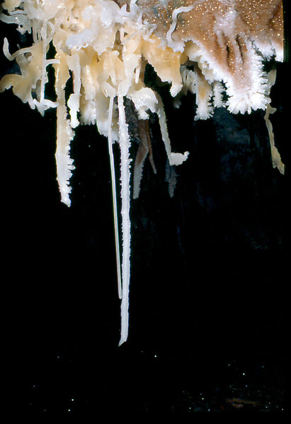 The Canyon Aladdin's overhang Cango 3 Easter 1980