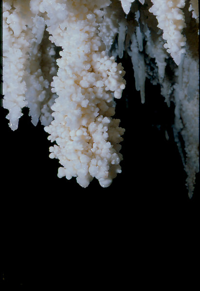 formation in stream passage below Krakatoa Cango3 Easter 198