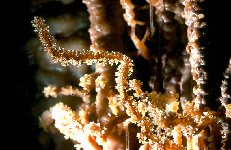 orange crystals Cango 3 Easter 1980 2