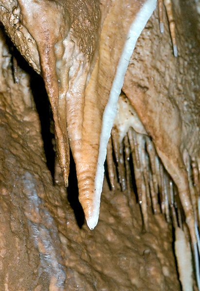 Efflux September 1977 2