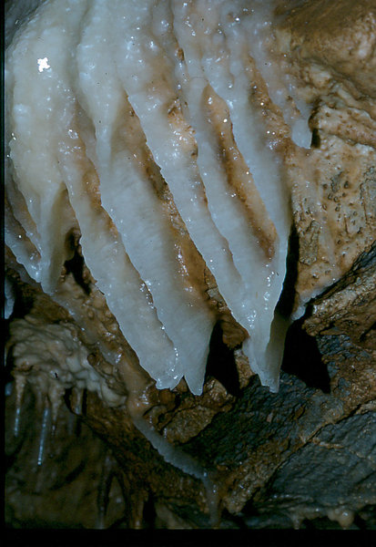 Efflux September 1977 4