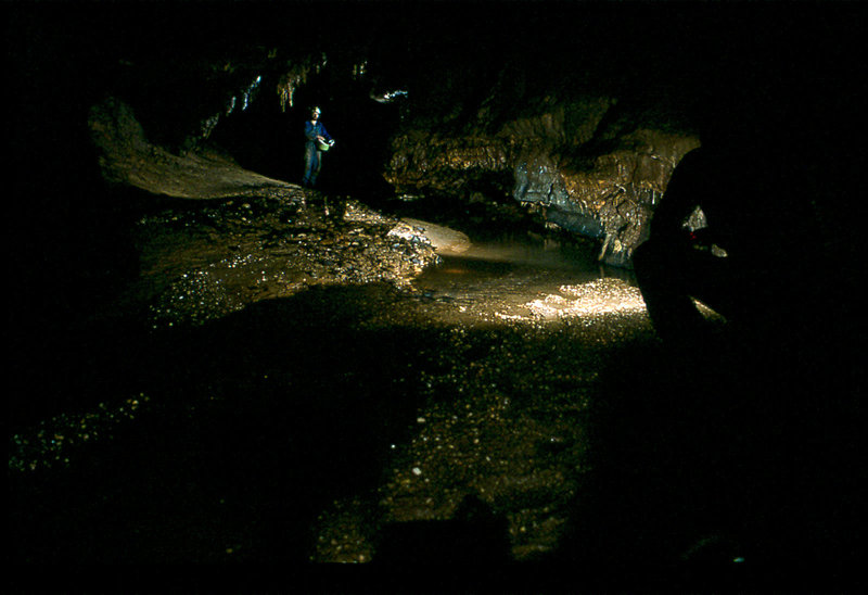 Efflux stream September 1977