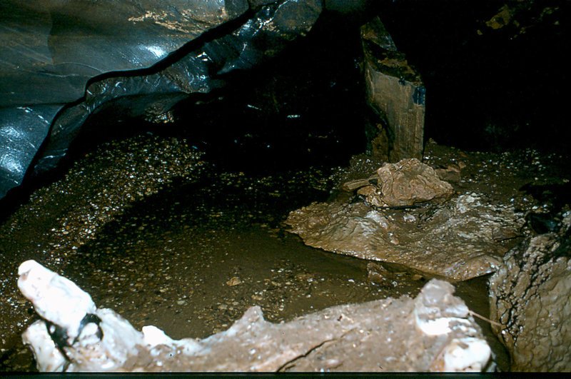 Efflux stream September 1977 2