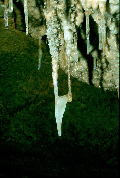 Efflux 30th August 1975