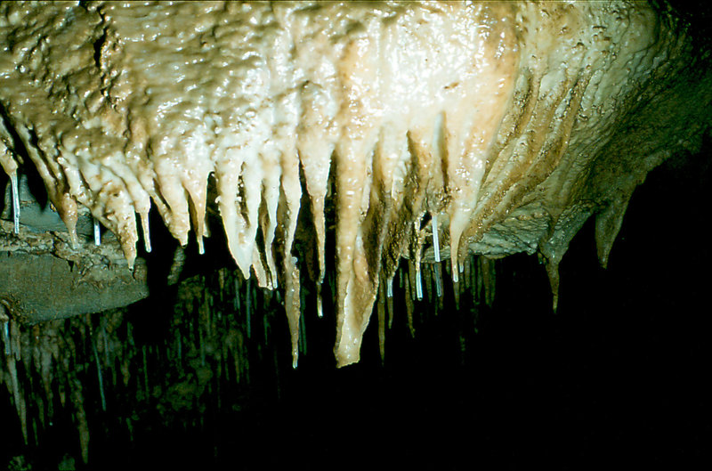 Efflux formations (1) 30th August 1975
